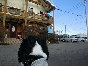 CIMG0374