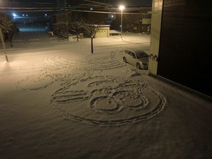 CIMG0391