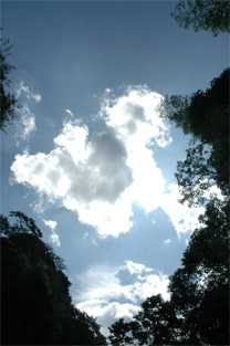 img20060829.jpg