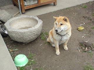 img20090207.jpg