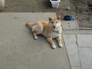 img20090103_6.jpg