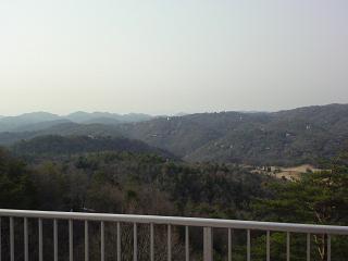 img20090317_5.jpg