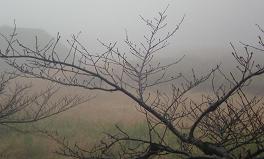 img20081210.jpg