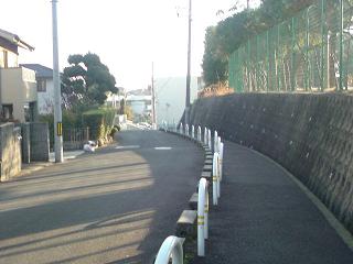 img20090204.jpg