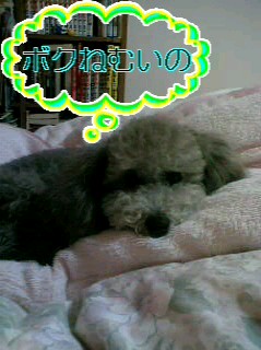 img20060308.jpg
