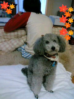 img20061122.jpg