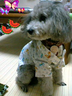 img20060902.jpg