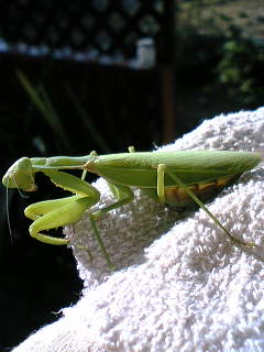 06-09-20_07-53.jpg
