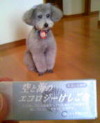 img20070529.jpg