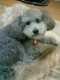 img20060224.jpg
