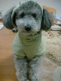 img20061214.jpg