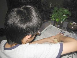 IMG_3132.jpg
