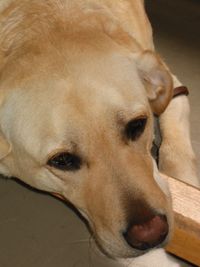 IMG_2895_1.jpg