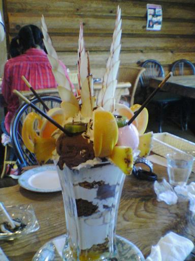 20090312pafe.jpg