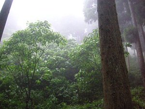 PICT0386