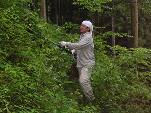 PICT0384