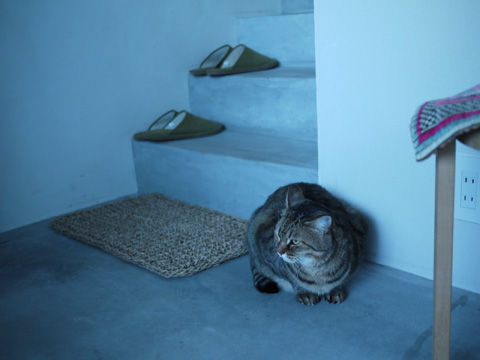 P1000679