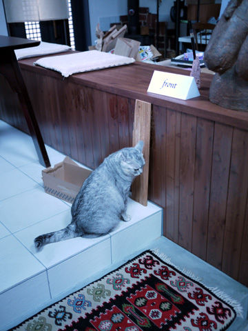 P1000702