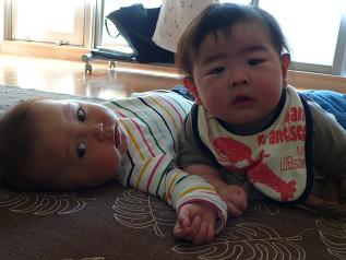 img20090510.jpg