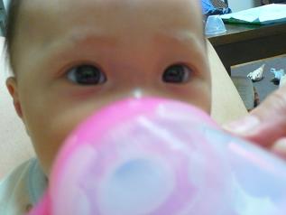 img20090510_1.jpg