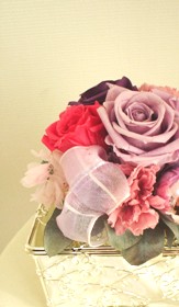 080325.jpg