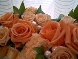 0702203.jpg
