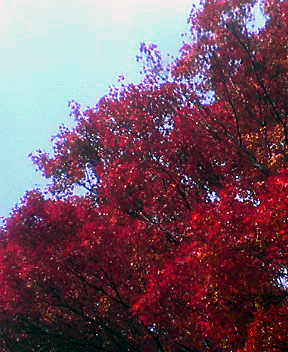 dsc02072.jpg