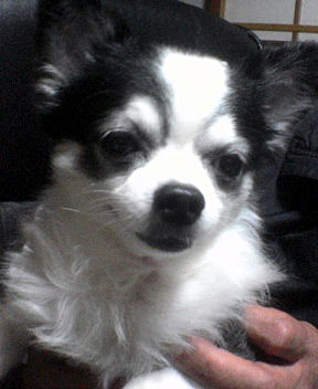 dsc01991.jpg