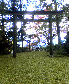 dsc02076.jpg