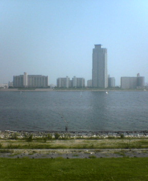 61.jpg