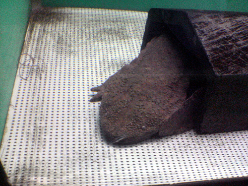 dsc01918.jpg