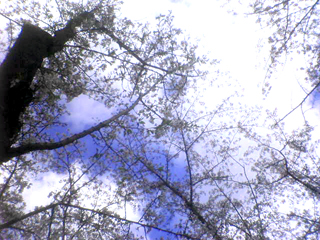 dsc02439.jpg