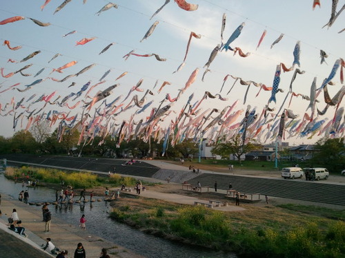 6d6fd782.jpg