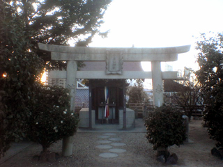 dsc02201.jpg
