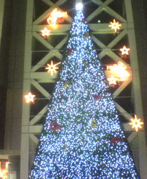 061122-003730.jpg