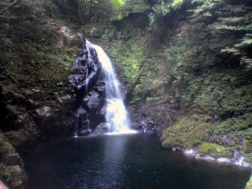 dsc01915.jpg