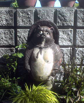 dsc02499.jpg