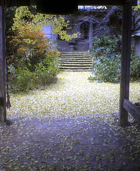 dsc02075.jpg