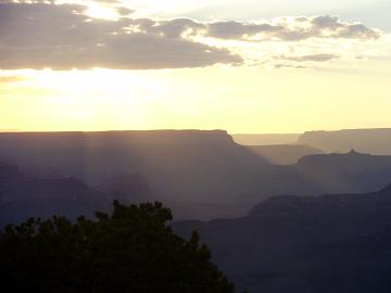 img20090705_5.jpg