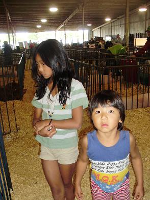img20090831_3.jpg