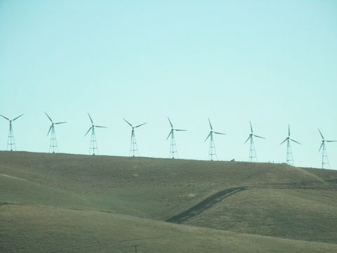 P7070516