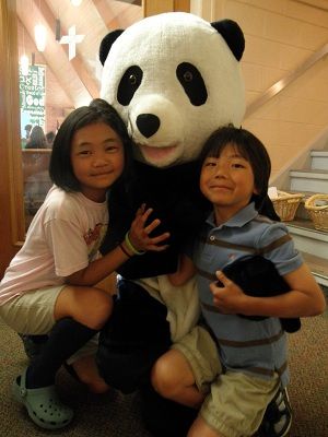 pandamania