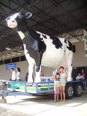 img20090831_2.jpg