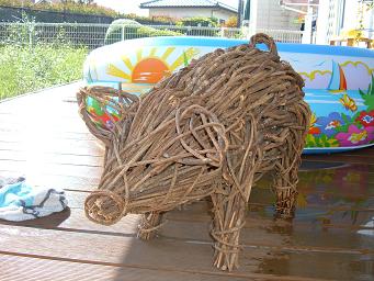 pig.jpg