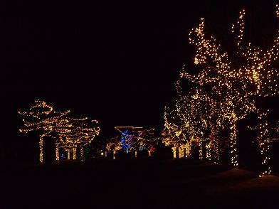 img20091221_3.jpg