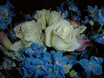 dscf1880.jpg
