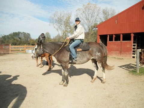t ride