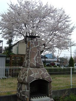 0404-3.jpg