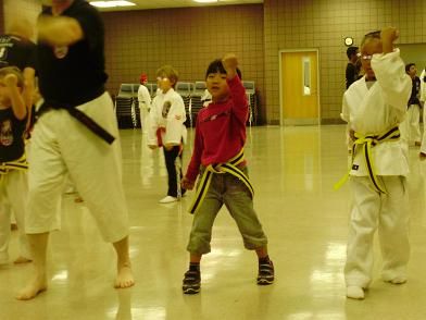 karate1