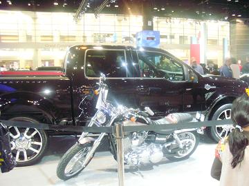 img20090220_8.jpg